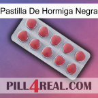 Black Ant Pill 18